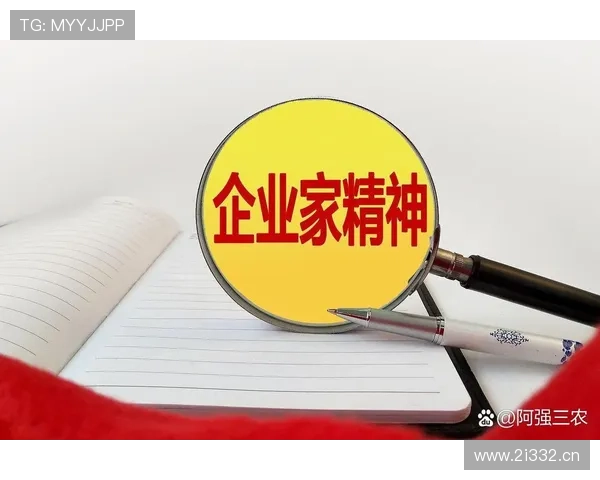 企业家精神如何推动创新与转型:成功案例分析与启示 企业家精神如何推动创新与转型:成功案例分析与启示